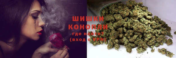 крисы Володарск