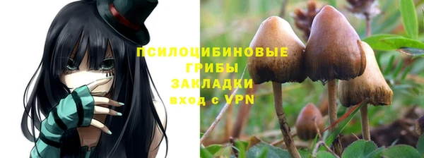 крисы Володарск