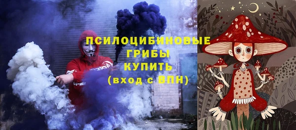 крисы Володарск