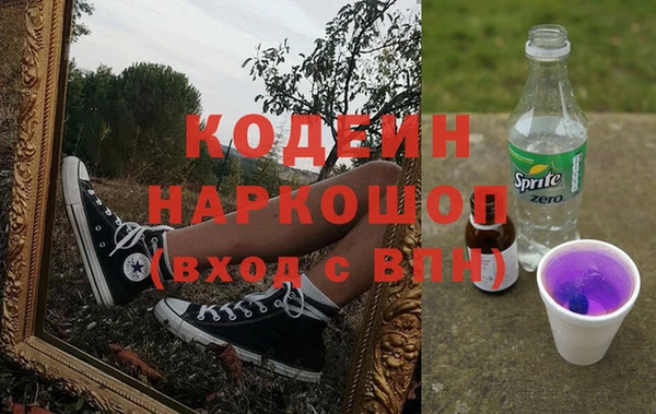 ГАЛЛЮЦИНОГЕННЫЕ ГРИБЫ Слюдянка