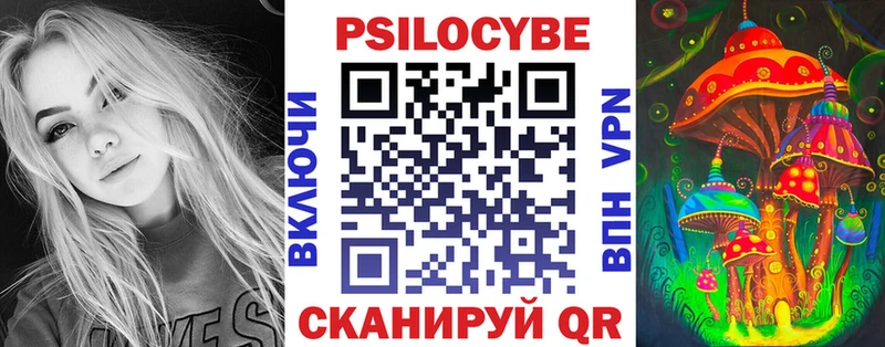 магазин продажи Новый Уренгой Псилоцибиновые грибы мухоморы