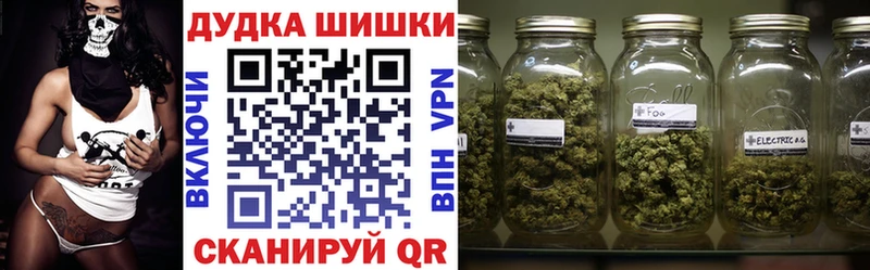 МАРИХУАНА план  ссылка на мегу ONION  Новый Уренгой  цена наркотик 